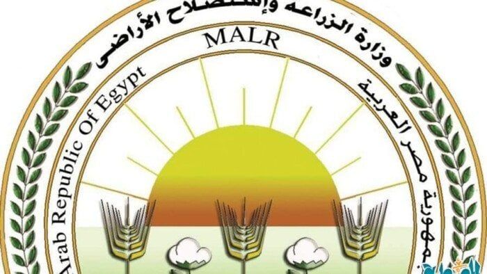 «الزراعة» تتابع عمليات حصاد البطاطس في المناطق الخالية من العفن البني «الزراعة» تتابع عمليات حصاد البطاطس في المناطق الخالية من العفن البني