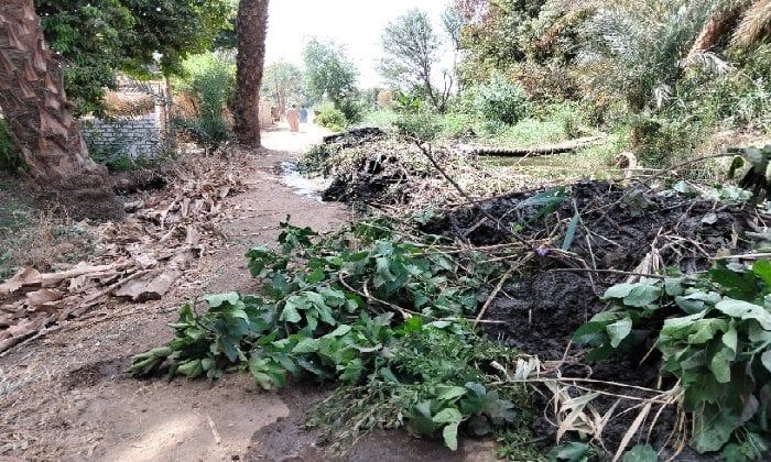 سكان جزيرة الكروم يستغيثون: مخلفات تطهير ترعة تغلق طريقهم الوحيد سكان جزيرة الكروم يستغيثون: مخلفات تطهير ترعة تغلق طريقهم الوحيد