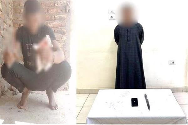 ضبط المتهم بالتعدي على «قطة» بسلاح أبيض في الأقصر ضبط المتهم بالتعدي على «قطة» بسلاح أبيض في الأقصر