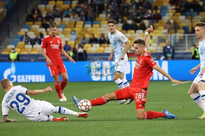 موعد مباراة بنفيكا ضد دينامو كييف Benfica vs Dynamo Kiev في دوري أبطال أوروبا والقنوات الناقلة لها