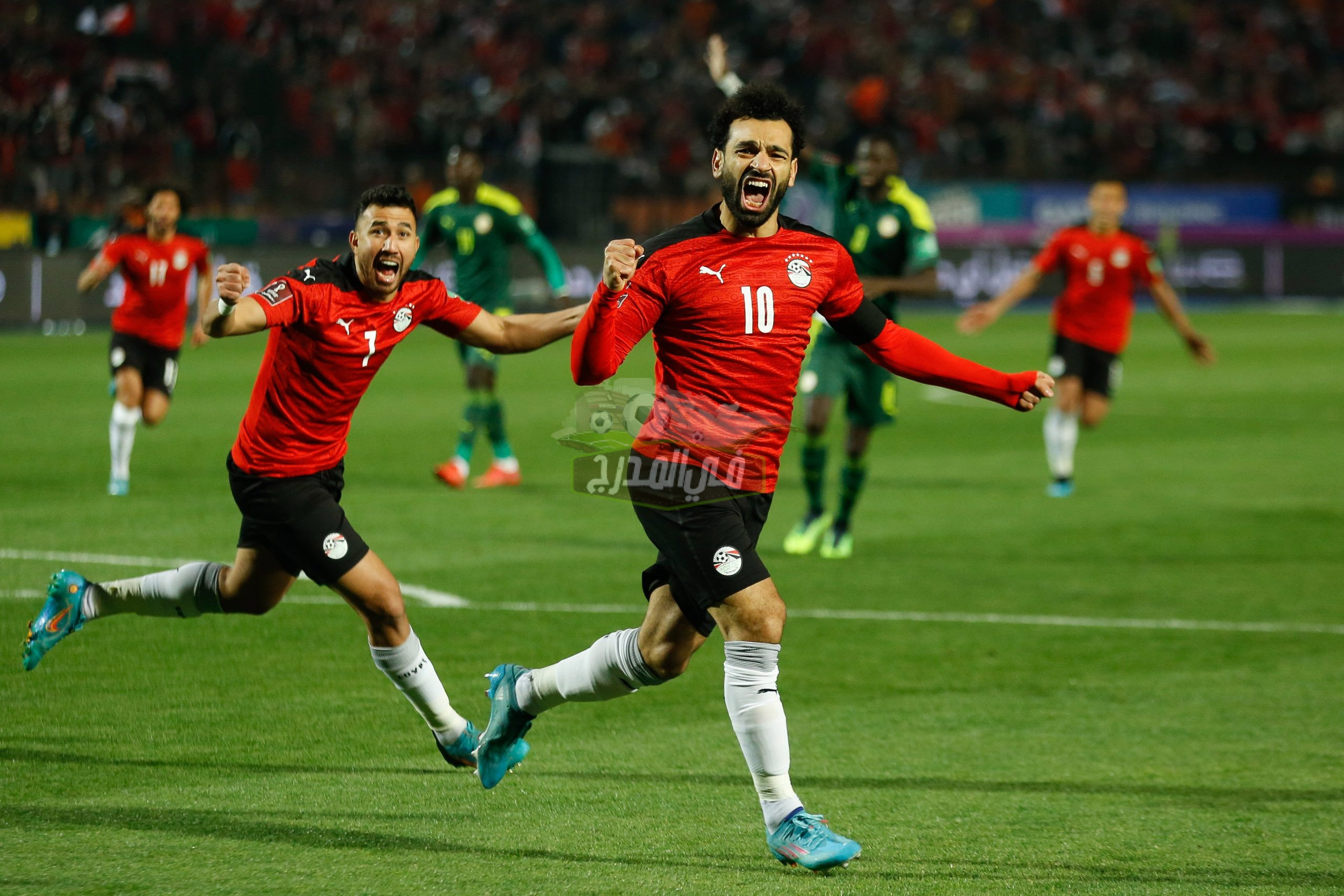 موعد مباراة مصر والسنغال Egypt vs Senegal في تصفيات كأس العالم 2022 والقنوات المفتوحة الناقلة لها