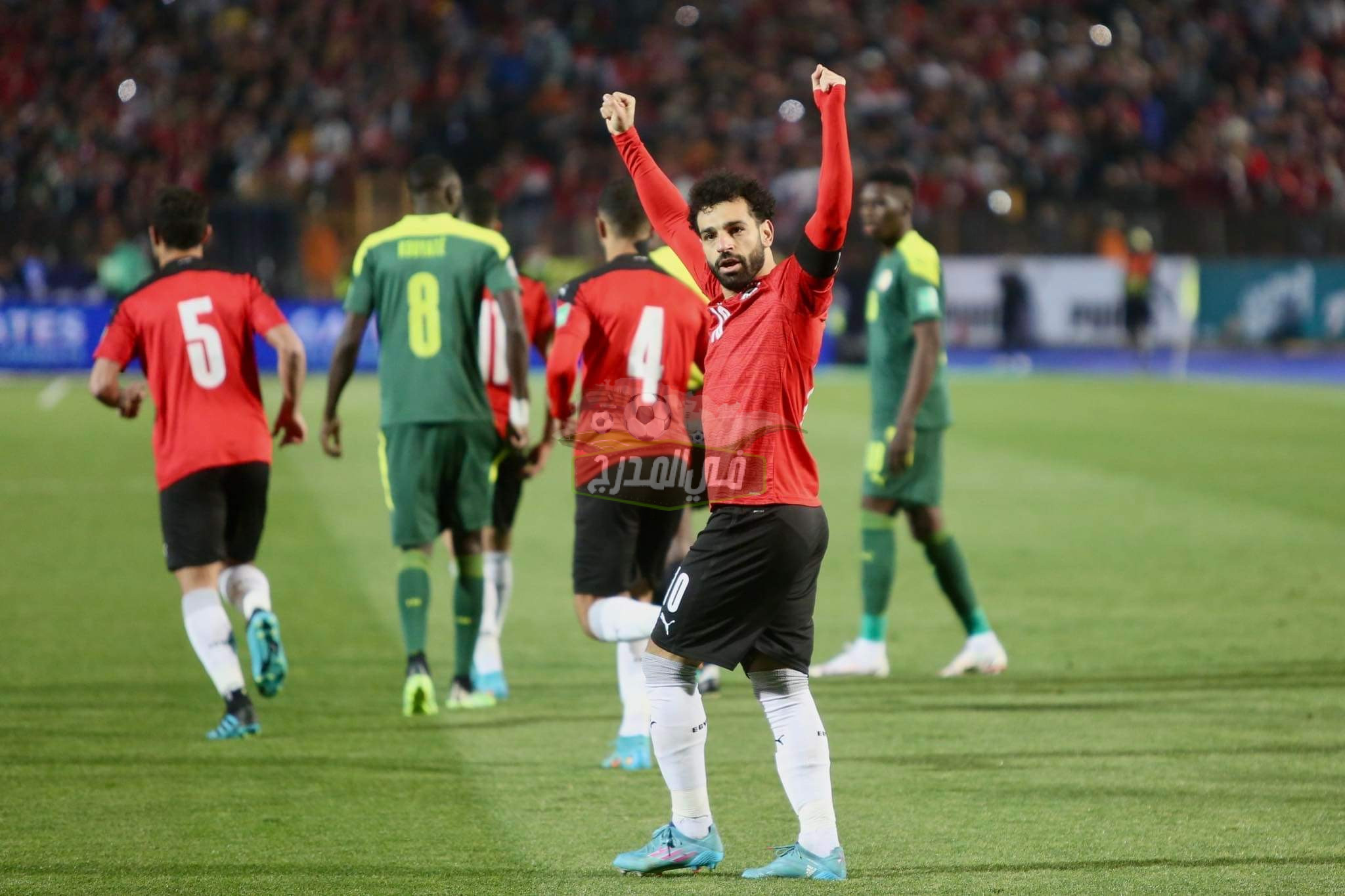 عاجل.. أول رد من الفيفا على إعادة مباراة مصر والسنغال