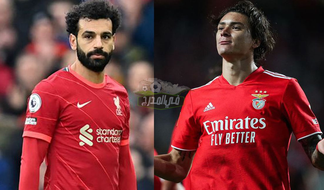 “ثبت الآن”.. القنوات المفتوحة الناقلة لمباراة ليفربول وبنفيكا في دوري أبطال أوروبا
