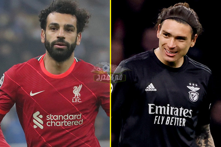 موعد مباراة ليفربول وبنفيكا Liverpool vs Benfica في دوري أبطال أوروبا والقنوات الناقلة ومعلق اللقاء