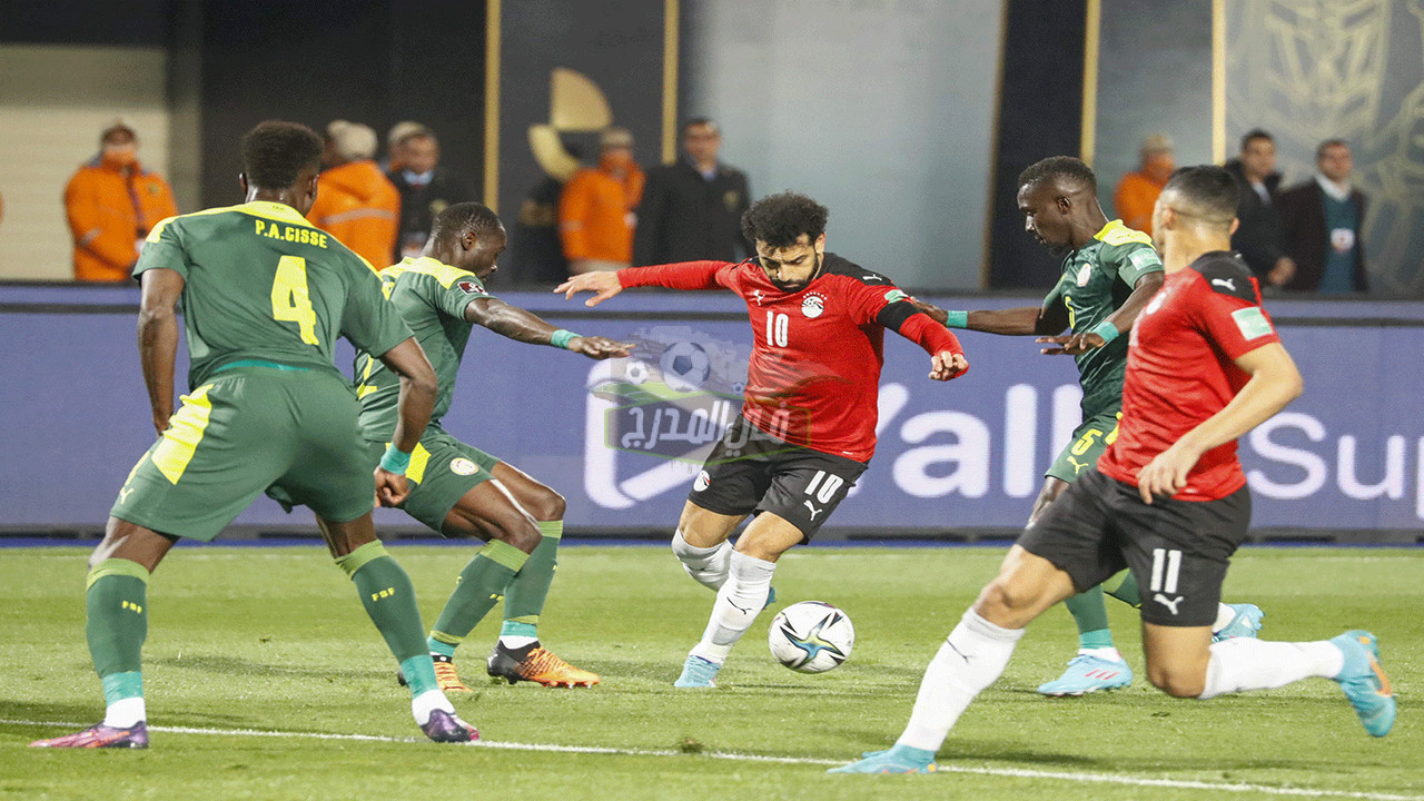 رسميًا.. إتحاد الكرة يعلن المدير الفني لمنتخب مصر خلفًا لكارلوس كيروش