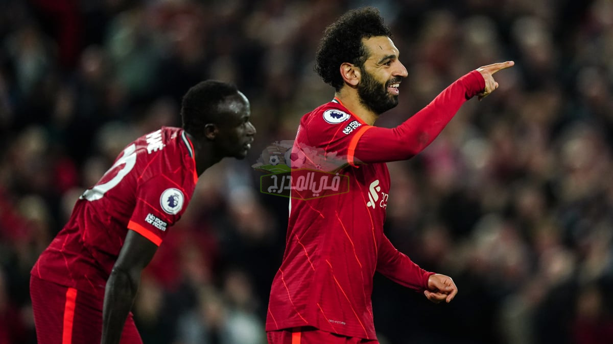 “ليس محمد صلاح”.. سبب مثير يدفع جماهير الأهلي لدعم ليفربول اليوم في نهائي الأبطال