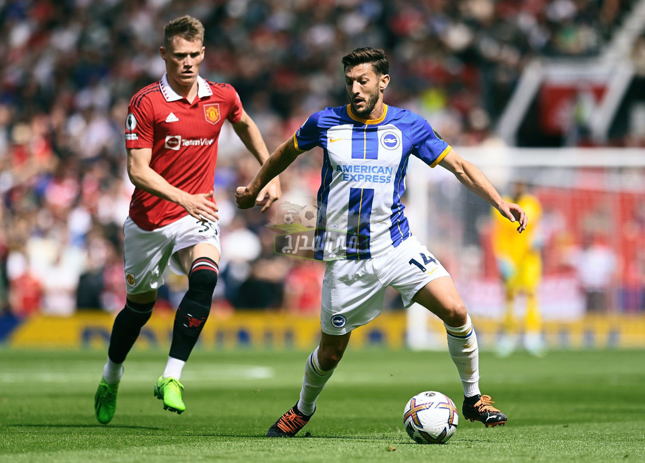 ملخص ونتيجة مباراة مانشستر يونايتد وبرايتون Manchester united vs brighton في الدوري الأنجليزي