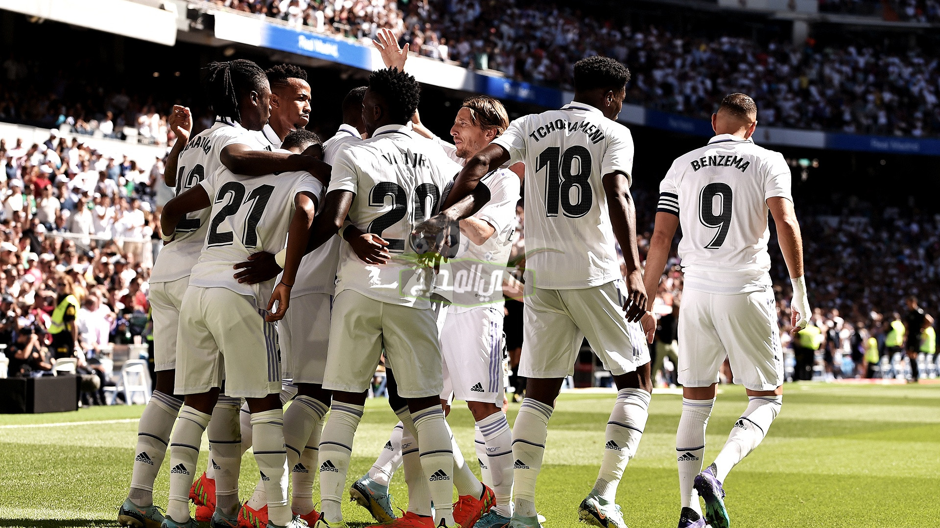“ثبت الآن”.. القنوات المفتوحة الناقلة لمباراة ريال مدريد ومايوركا Real Madrid vs Mallorca في الدوري الإسباني