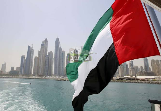 كيفية التقديم على تصريح إقامة العمل الافتراضي بالإمارات وأهم الشروط