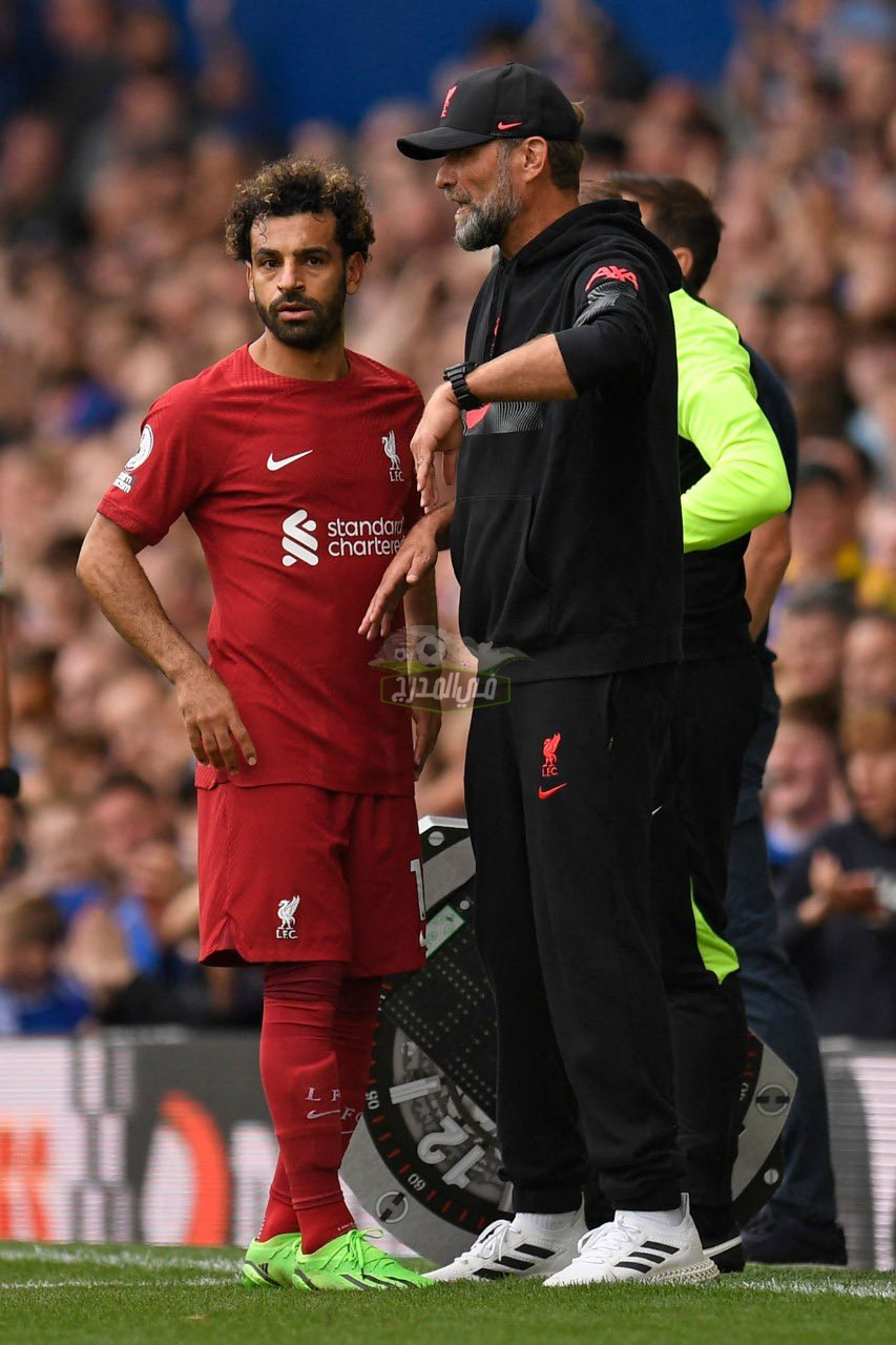 موعد مباراة ليفربول ضد نابولي بدوري أبطال أوروبا والقنوات الناقلة Livarpool vs Naples