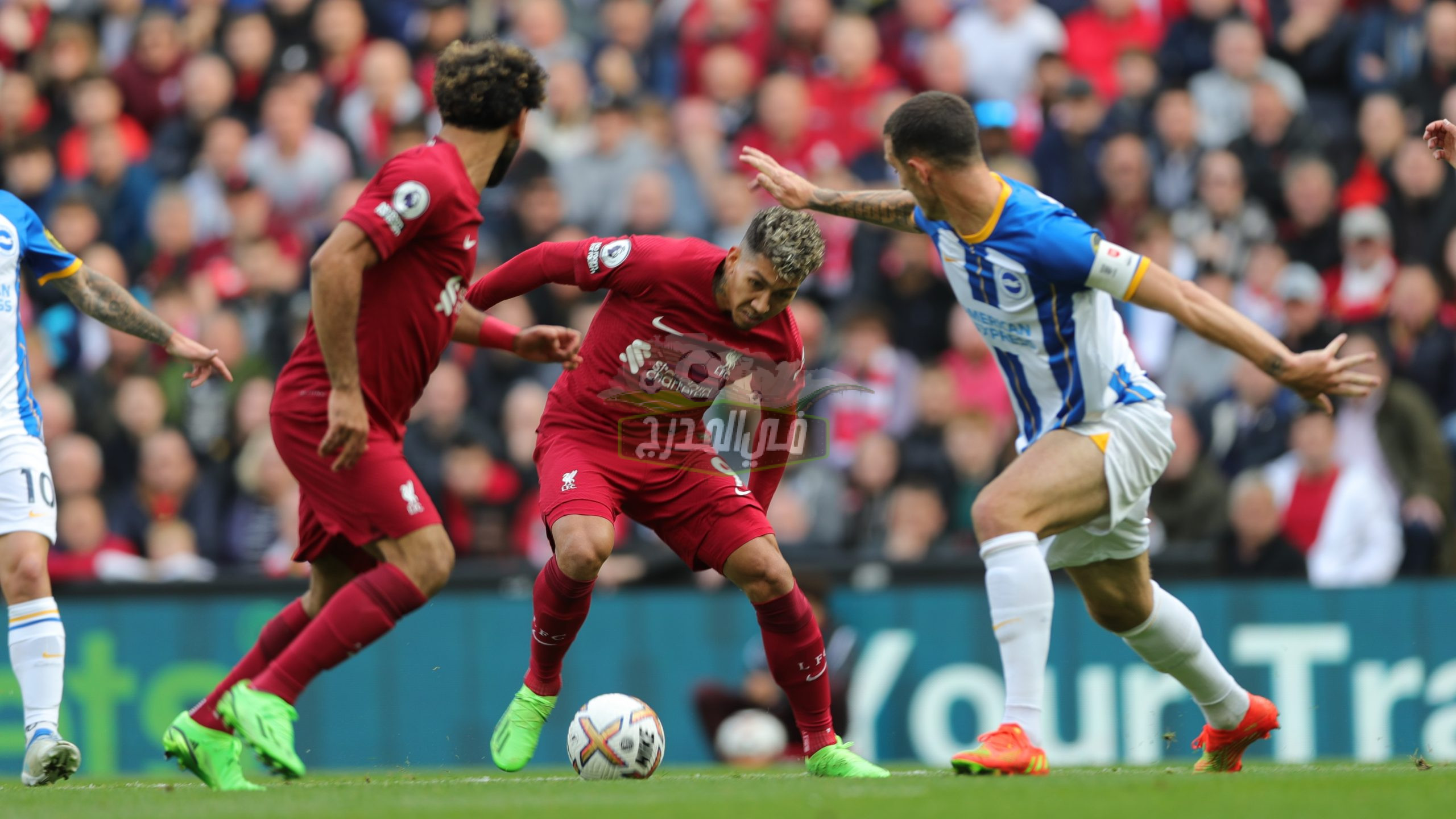 نتيجة مباراة ليفربول وبرايتون Liverpool vs Brighton اليوم في الدوري الإنجليزي