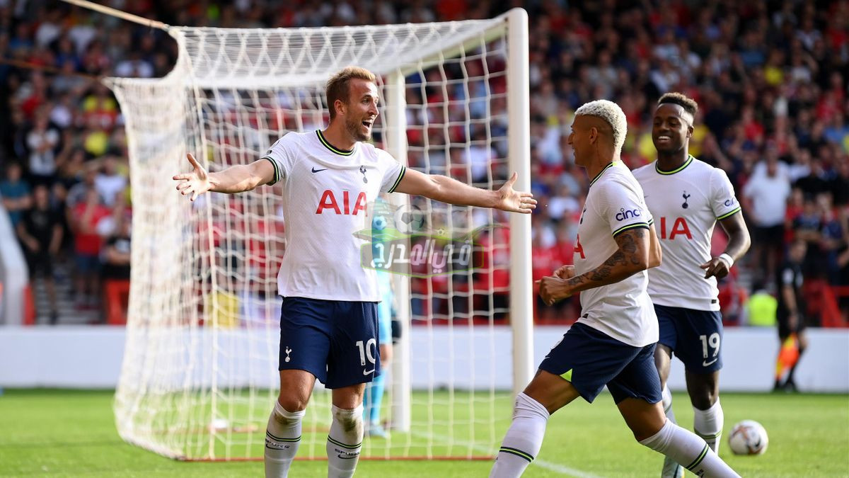 القنوات المفتوحة الناقلة لمباراة توتنهام وبرايتون tottenham vs brighton في البريميرليج