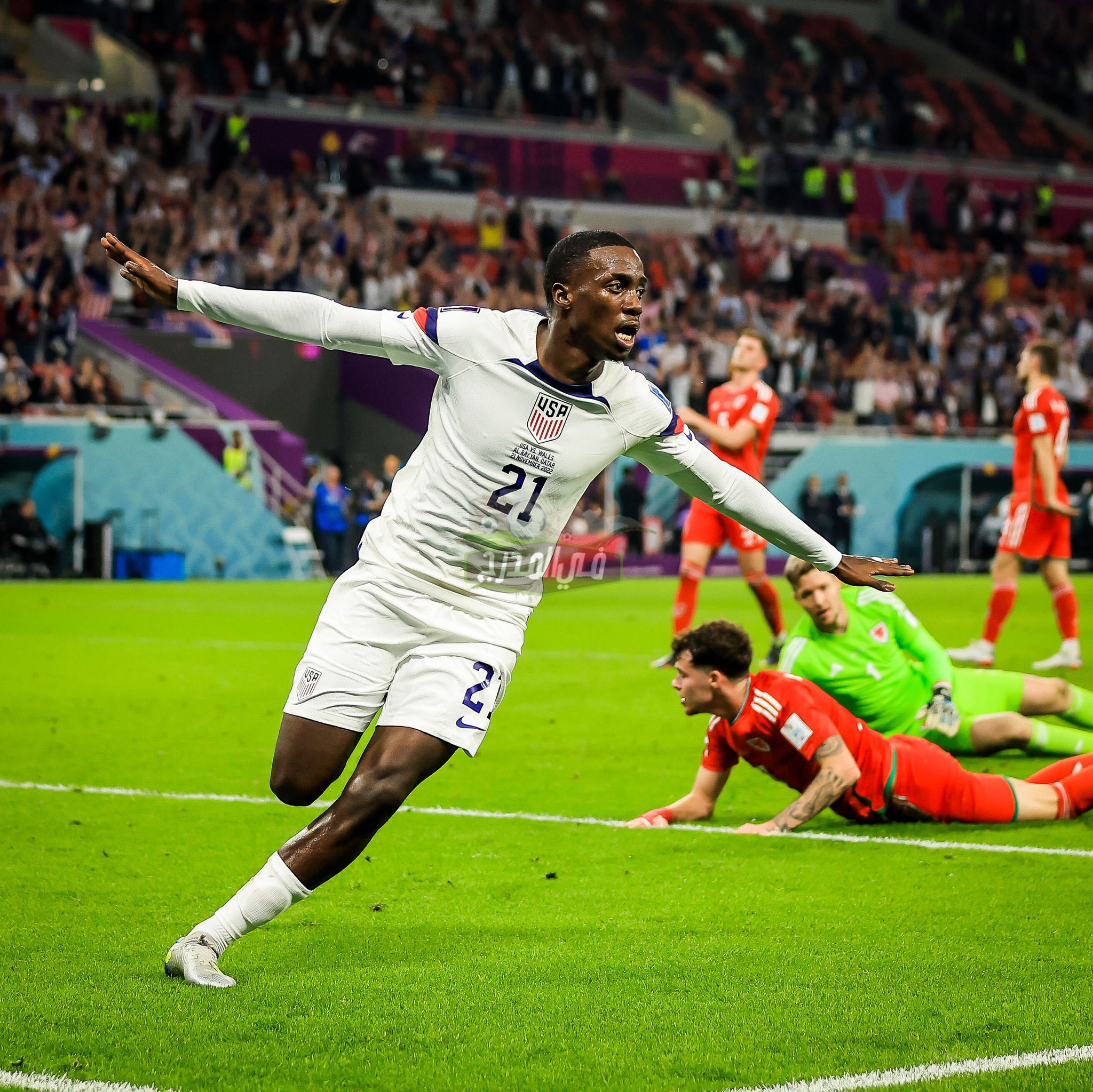 موعد مباراة أمريكا القادمة في كأس العالم 2022 بعد التعادل مع ويلز