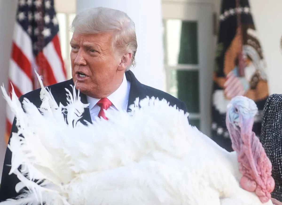 «عيد شكر وفير: كيف يحتفل الرؤساء الأمريكيون بتقاليد الديك الرومي والموائد الغنية»