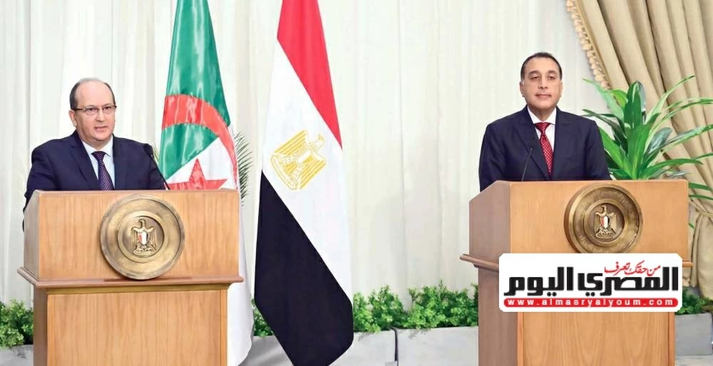 «تعاون استراتيجي جديد» مصر والجزائر توقعان 19 مذكرة تفاهم في مجالات متعددة