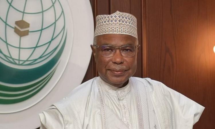 «دور مصر الحيوي في تعزيز التعاون الإسلامي» الأمين العام للتعاون الإسلامي يشيد بمساهمات القاهرة في تعزيز مسيرة العمل المشترك