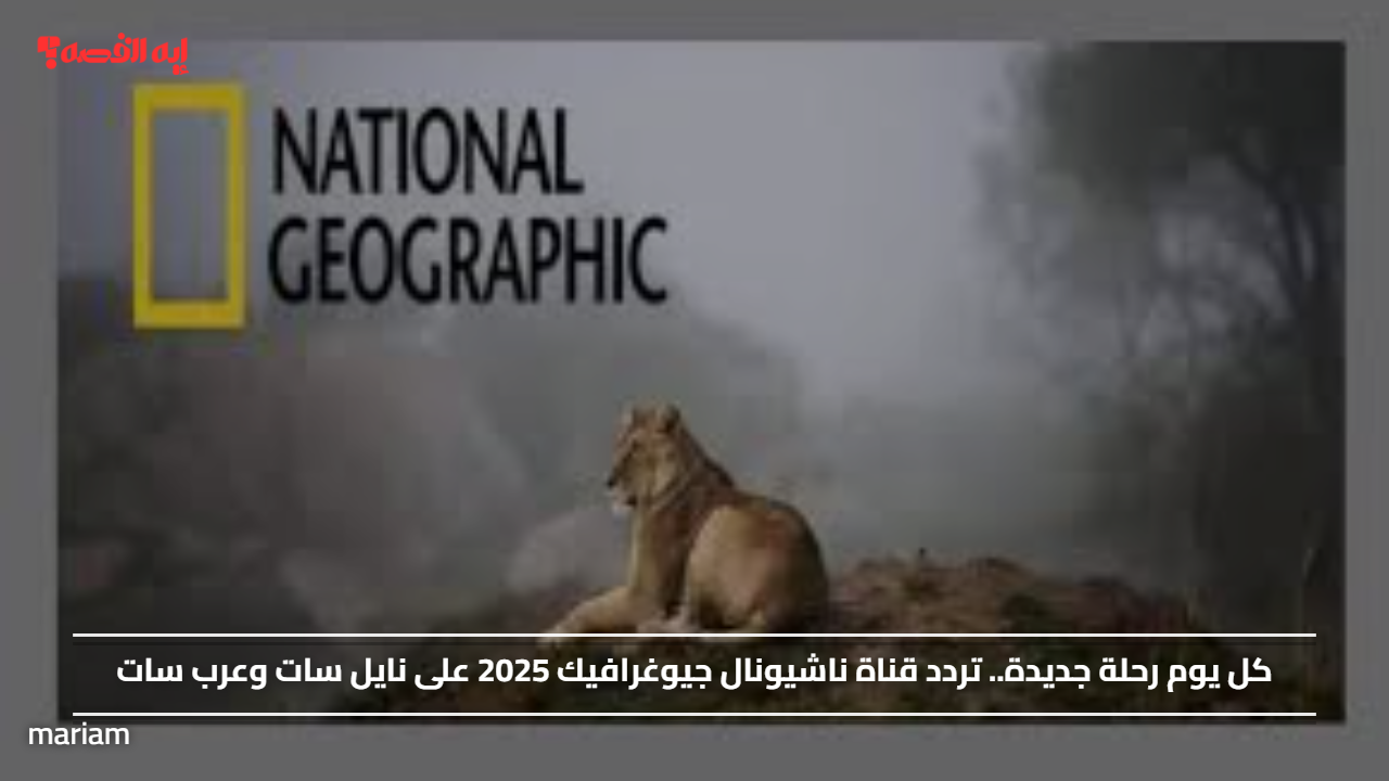 «استعد لمغامرة يومية جديدة» تردد قناة ناشيونال جيوغرافيك 2025 على نايل سات وعرب سات