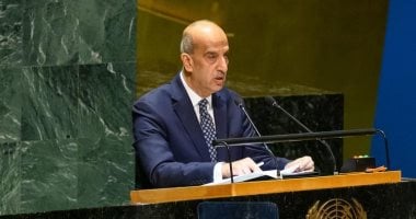 «مصر تحتضن قرار مجلس الأمن لاعتماد مراجعة هيكل البناء السلمي للأمم المتحدة»