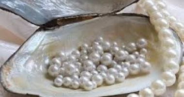 «قفزة ملحوظة في صادرات مصر إلى الإمارات تصل إلى 4 مليارات دولار بقيادة اللؤلؤ والسيارات»