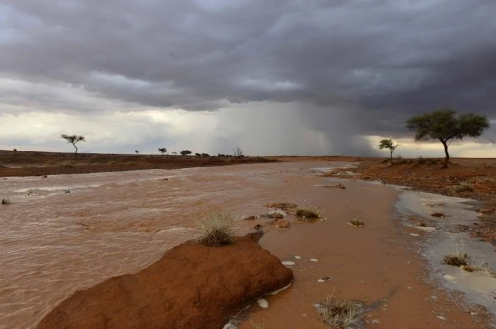 «أجواء غير مستقرة اليوم» الأرصاد تحذر من سحب رعدية ممطرة ورياح نشطة في عدة مناطق