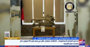 «اكتشاف تمساح عاشت في مصر قبل 80 مليون عام يكشف عن أسرار علمية جديدة» سارة صابر