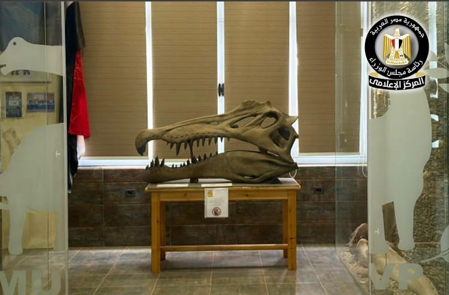 «اكتشاف مذهل لتمساح يعود إلى 80 مليون عام في صحراء مصر الغربية»