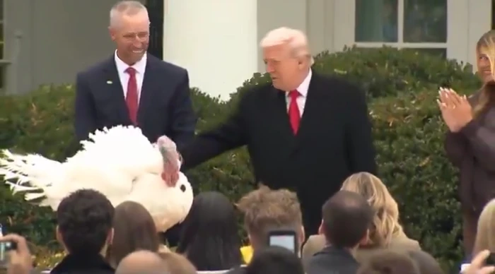 «فرحة العيد في البيت الأبيض» ترامب يمنح العفو عن ديك رومي خلال احتفال مميز