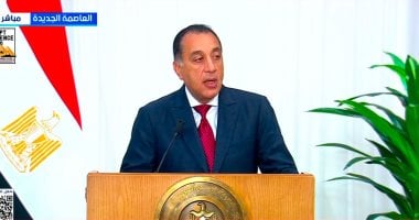 «التزام مشترك» مصر والجزائر تسعيان لخطوات جادة في تنفيذ مذكرات التفاهم