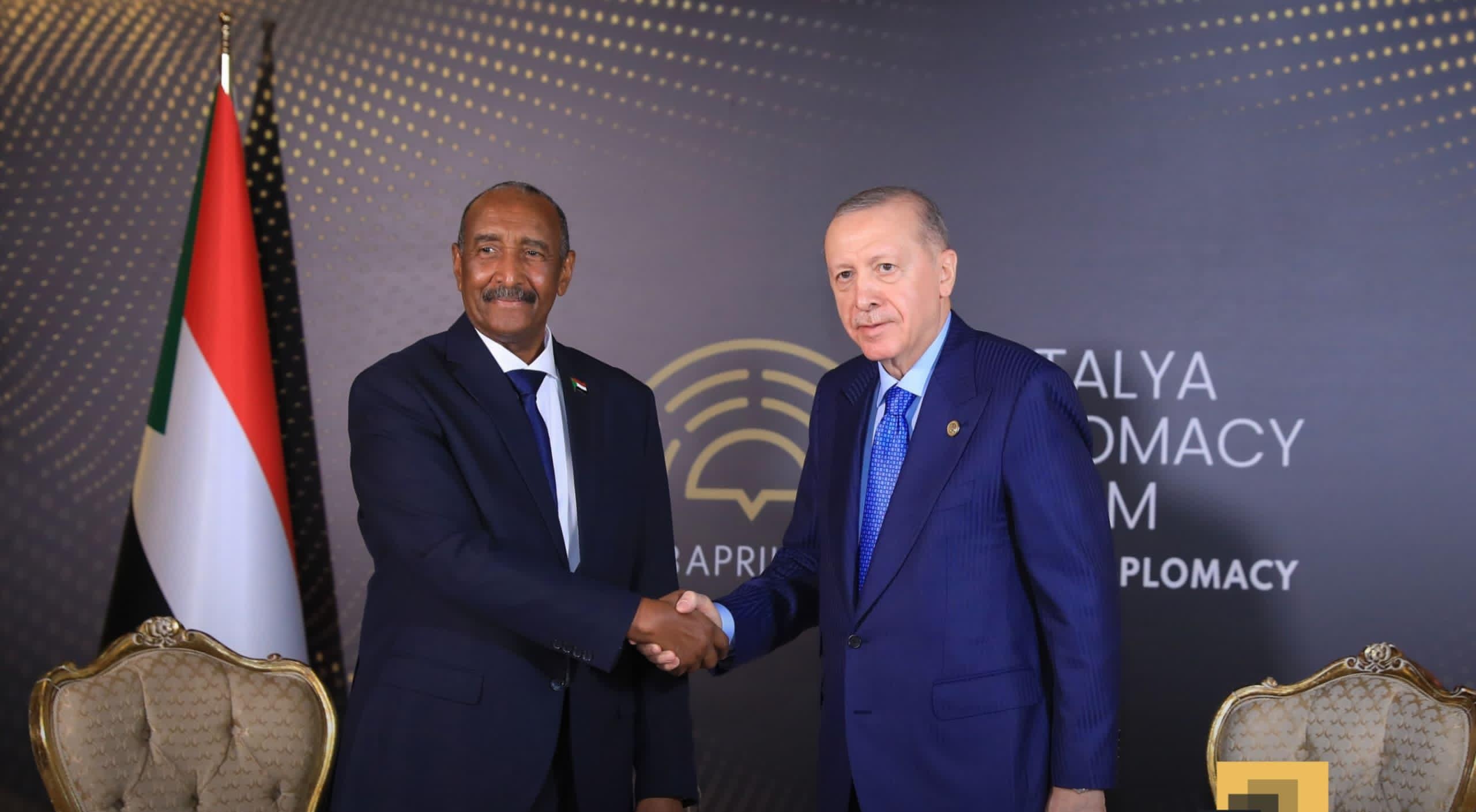 «شراكة قوية بين مصر وتركيا تعزز جهود دعم الجيش السوداني لاستعادة الاستقرار في دارفور»