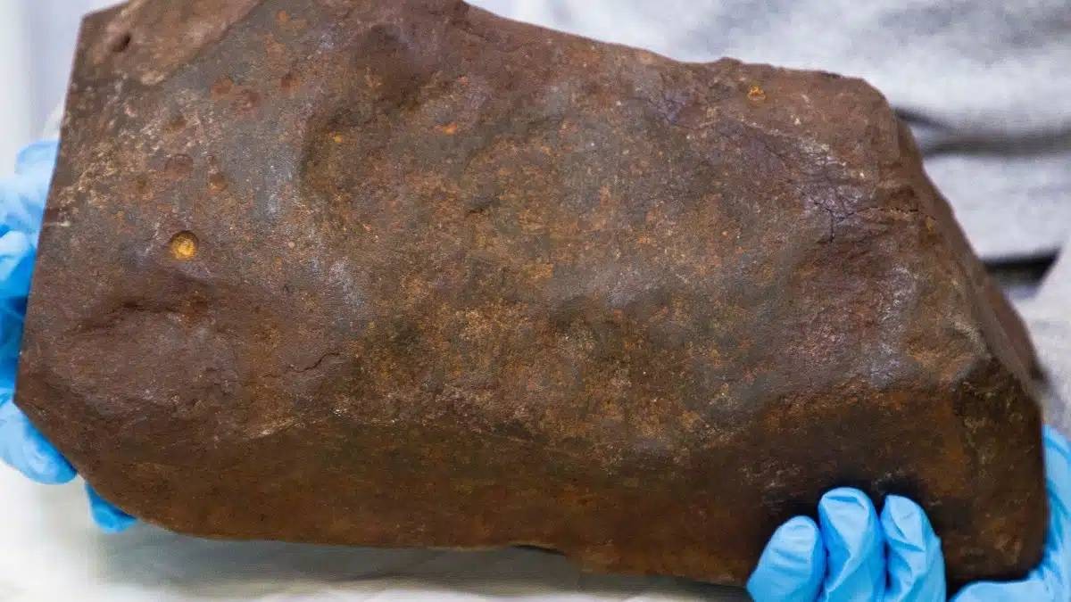 «محطماً الصخرة لثلاث سنوات.. اكتشاف كنز يقدر بمليارات الدولارات»