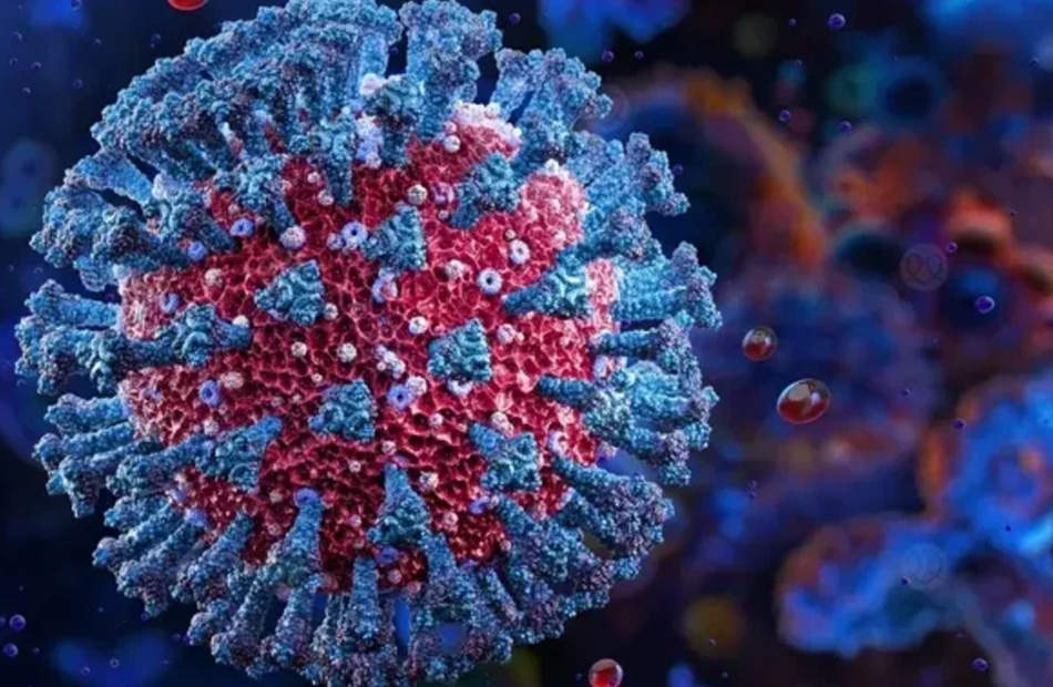 «مصر تخلو من الفيروسات الجديدة… رئيس الوزراء يكشف تفاصيل السلالة الجديدة للإنفلونزا الموسمية»