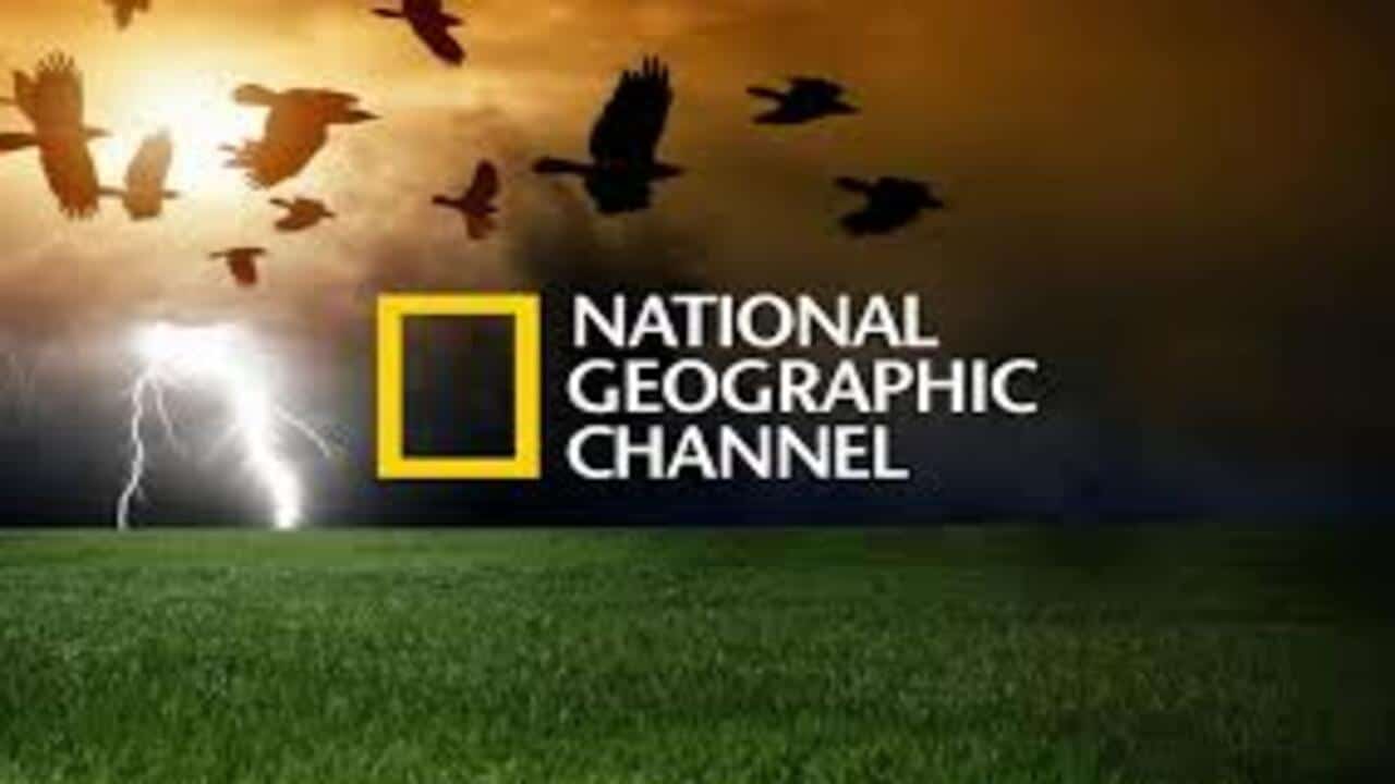 «اكتشف تردد قناة National Geographic على نايل سات للمشاهدة بجودة عالية»