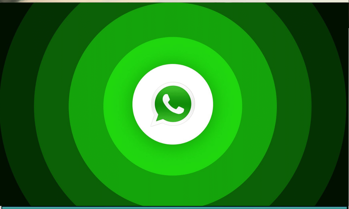 «تحديث واتساب الجديد يكشف عن ميزة تاج الأعضاء في المجموعات»