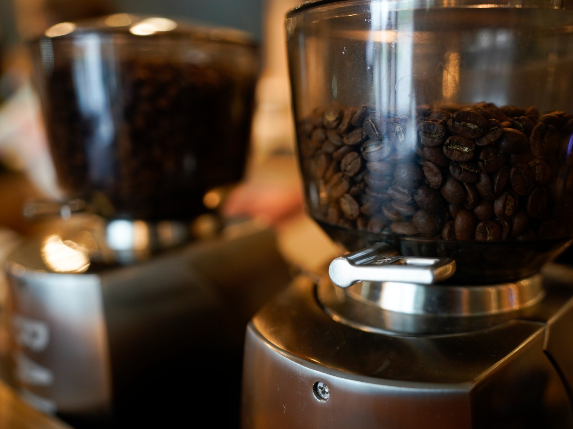 «تحول مشوّق في صناعة القهوة البرازيلية: لماذا تعتنق البلاد حبوب الروبوستا؟»