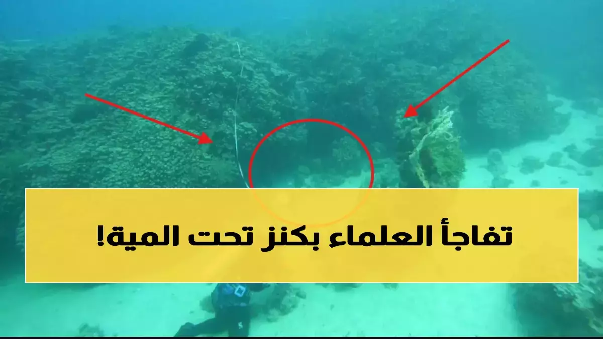 «اكتشاف مرجان عمره 800 عام في السعودية» كنز طبيعي يثير دهشة العلماء ويعيد تشكيل خريطة السياحة العالمية