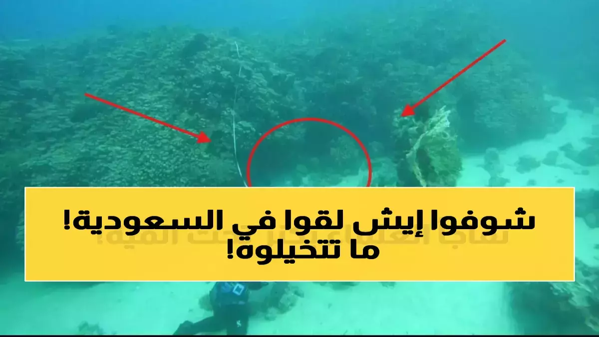 «اكتشاف سعودي فريد يغير تاريخ السياحة العالمية» السعودية تعلن عن كنز مرجاني يعود إلى 800 عام في البحر الأحمر