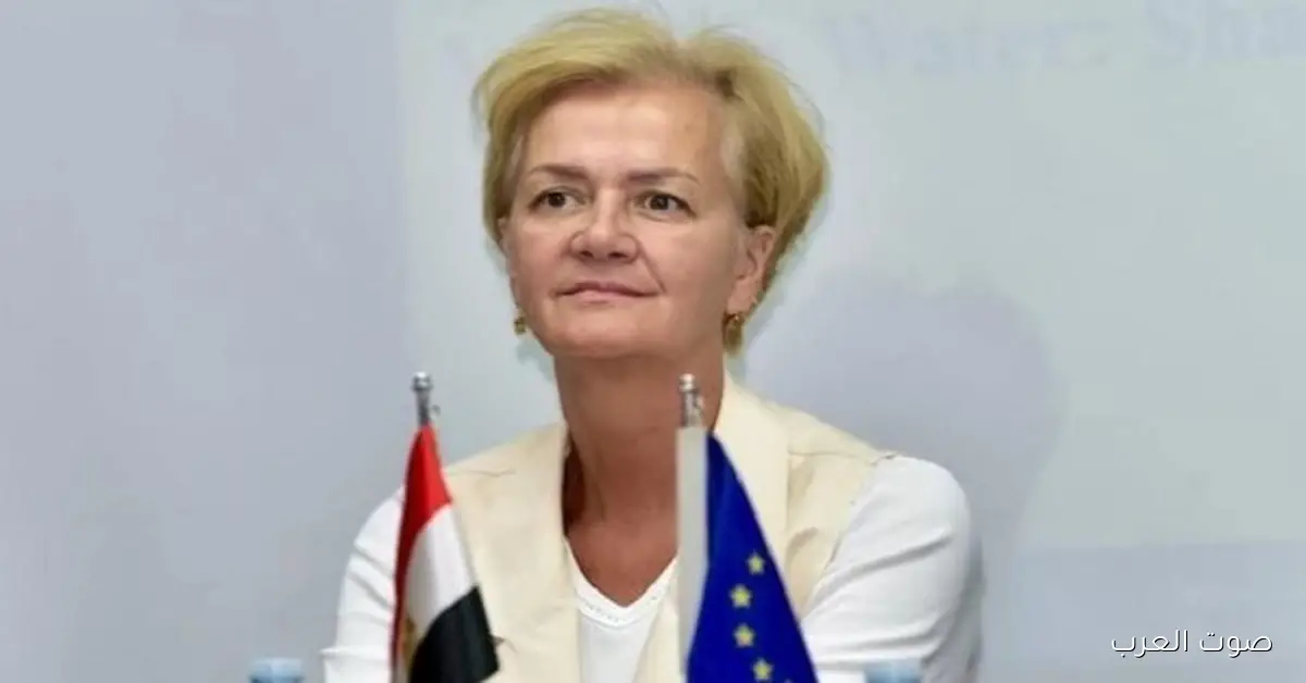 «تعزيز التعاون العلمي بين مصر وأوروبا عبر برامج جديدة قريبًا» سفيرة الاتحاد الأوروبي تعلن عن مشروعات مرتقبة