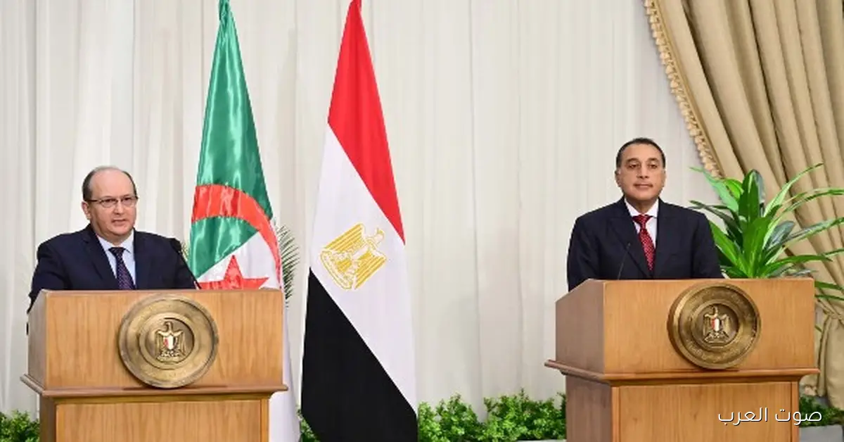 «علاقة استراتيجية جديدة بين مصر والجزائر تعزز التعاون المشترك»