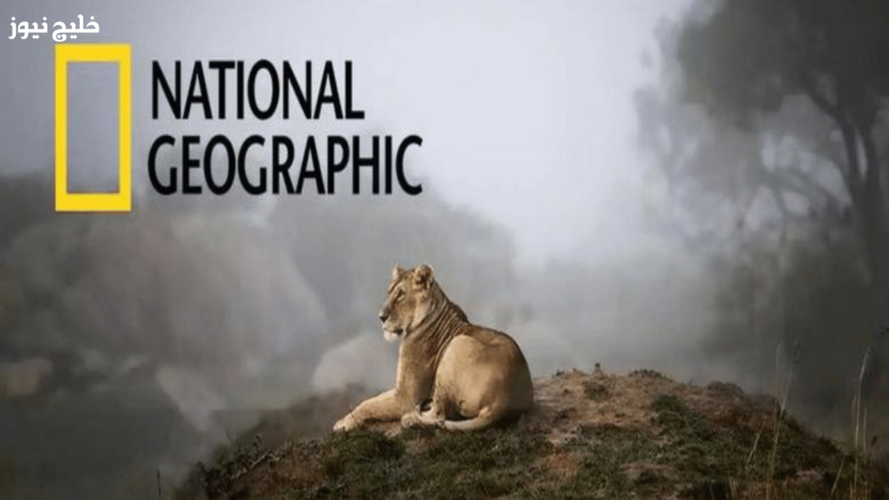 «استكشف محتوى نادر ونظيف» تردد قناة ناشيونال جيوغرافيك 2025 على جهازك – خليج نيوز