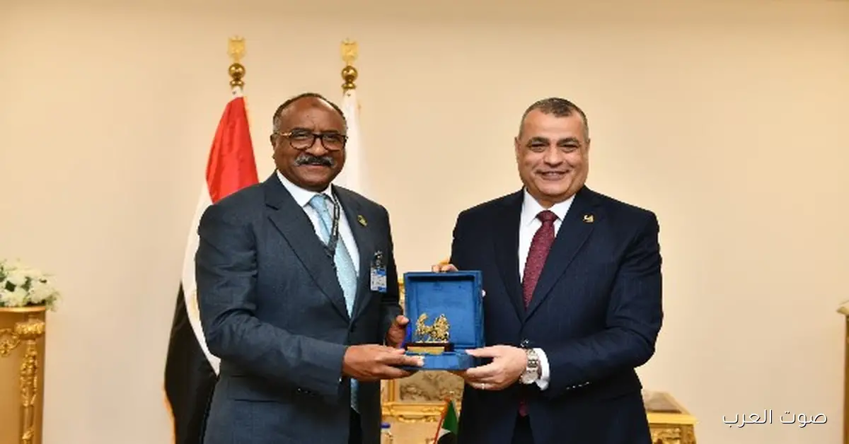 «تعاون عسكري متنامٍ» مصر والسودان يوقعان اتفاقًا لتعزيز الشراكة في معرض EDEX