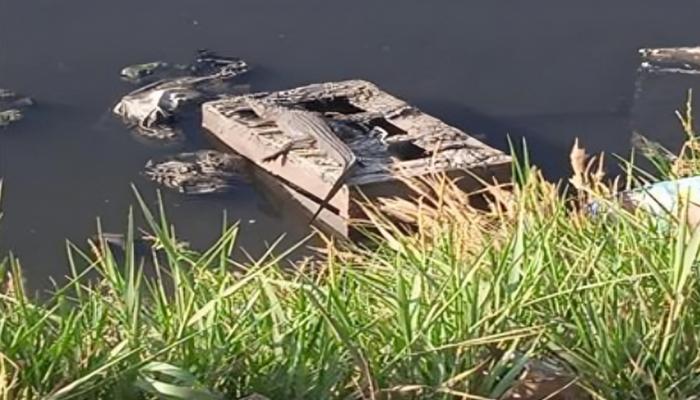 «مصر تواصل البحث عن تمساح الزوامل في ظل إجراءات احترازية مشددة»