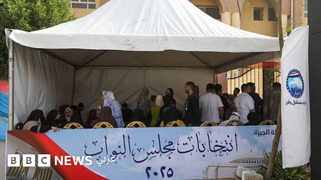 «إبطال نتائج نحو ثلثي الدوائر في المرحلة الأولى من انتخابات مجلس النواب في مصر يثير تساؤلات حول نزاهة العملية الانتخابية»