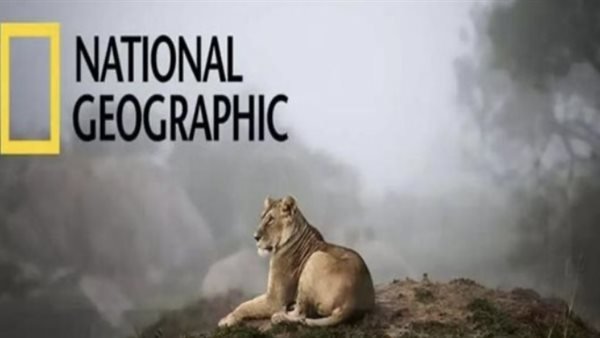 «اكتشف تردد قناة ناشيونال جيوغرافيك الجديد لعام 2025 على نايل سات وعرب سات»