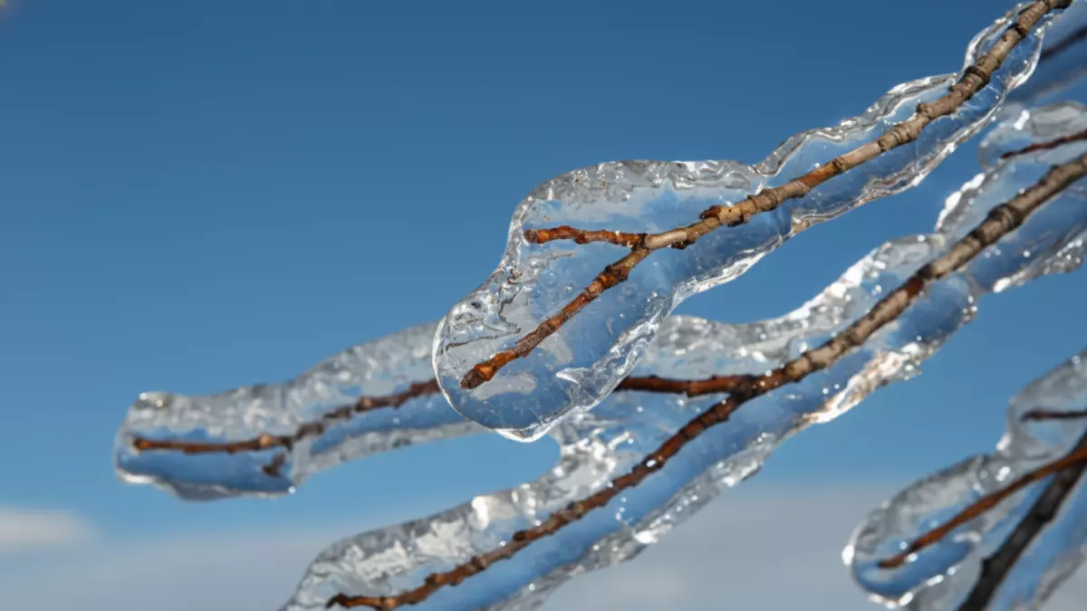 «مربعانية 2025 تحمل أسراراً صادمة – خبير الحصيني يكشف درجات حرارة تحت الصفر ومفاجآت مناخية»