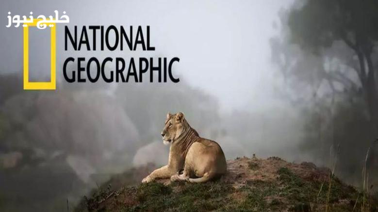«اكتشف كيفية استقبال تردد قناة ناشيونال جيوغرافيك لعام 2025 بجودة HD بسهولة»